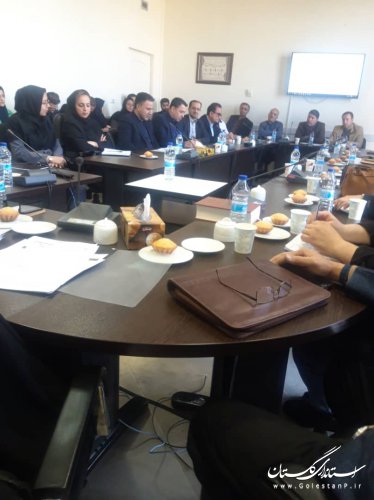 جلسه بررسی میزان پیشرفت اجرای طرح احراز هویت آنلاین در استان